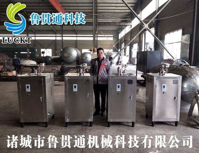 Electric steam boiler